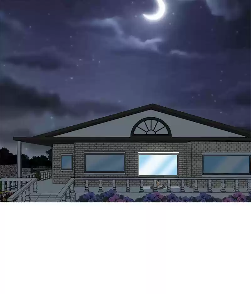 The Dog Diaries Chapter 15