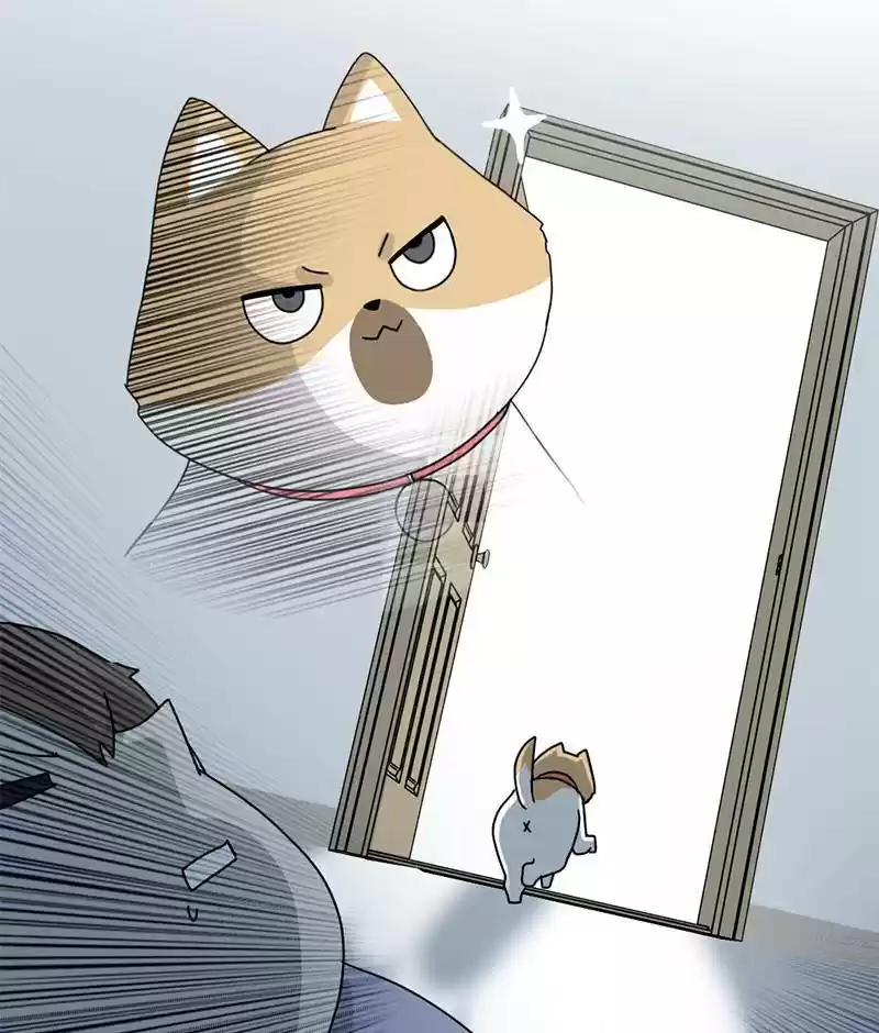 The Dog Diaries Chapter 15