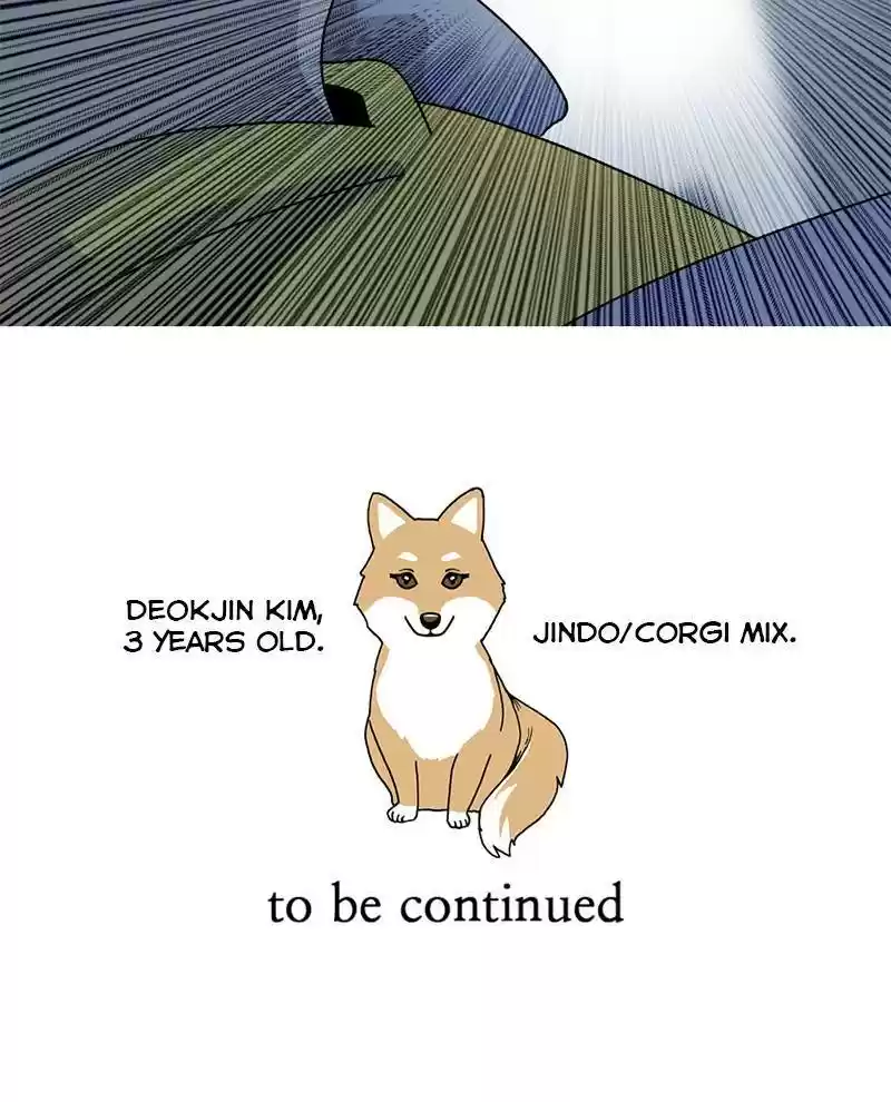 The Dog Diaries Chapter 15