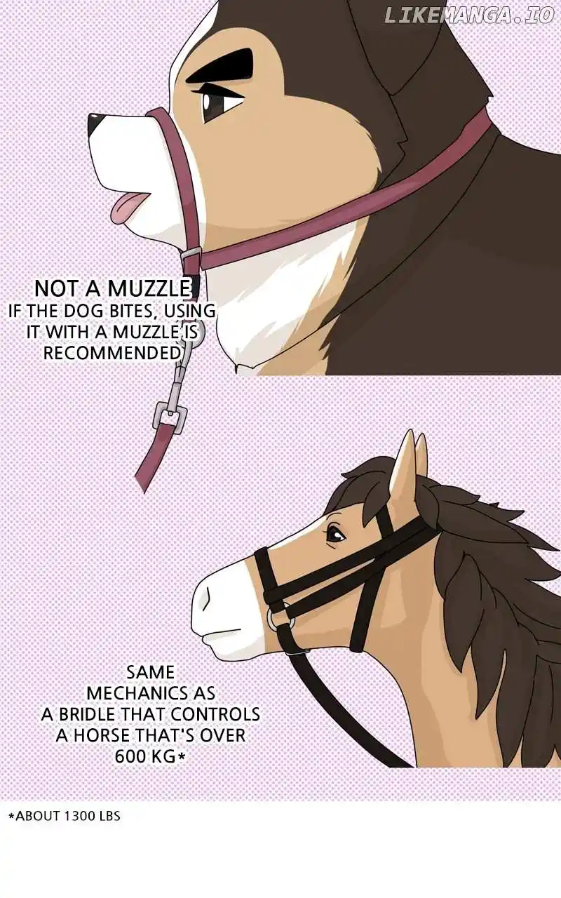 The Dog Diaries Chapter 151