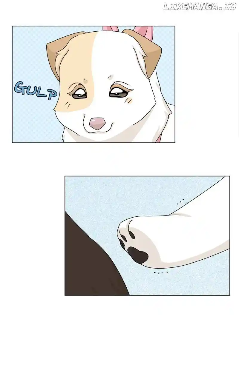 The Dog Diaries Chapter 152
