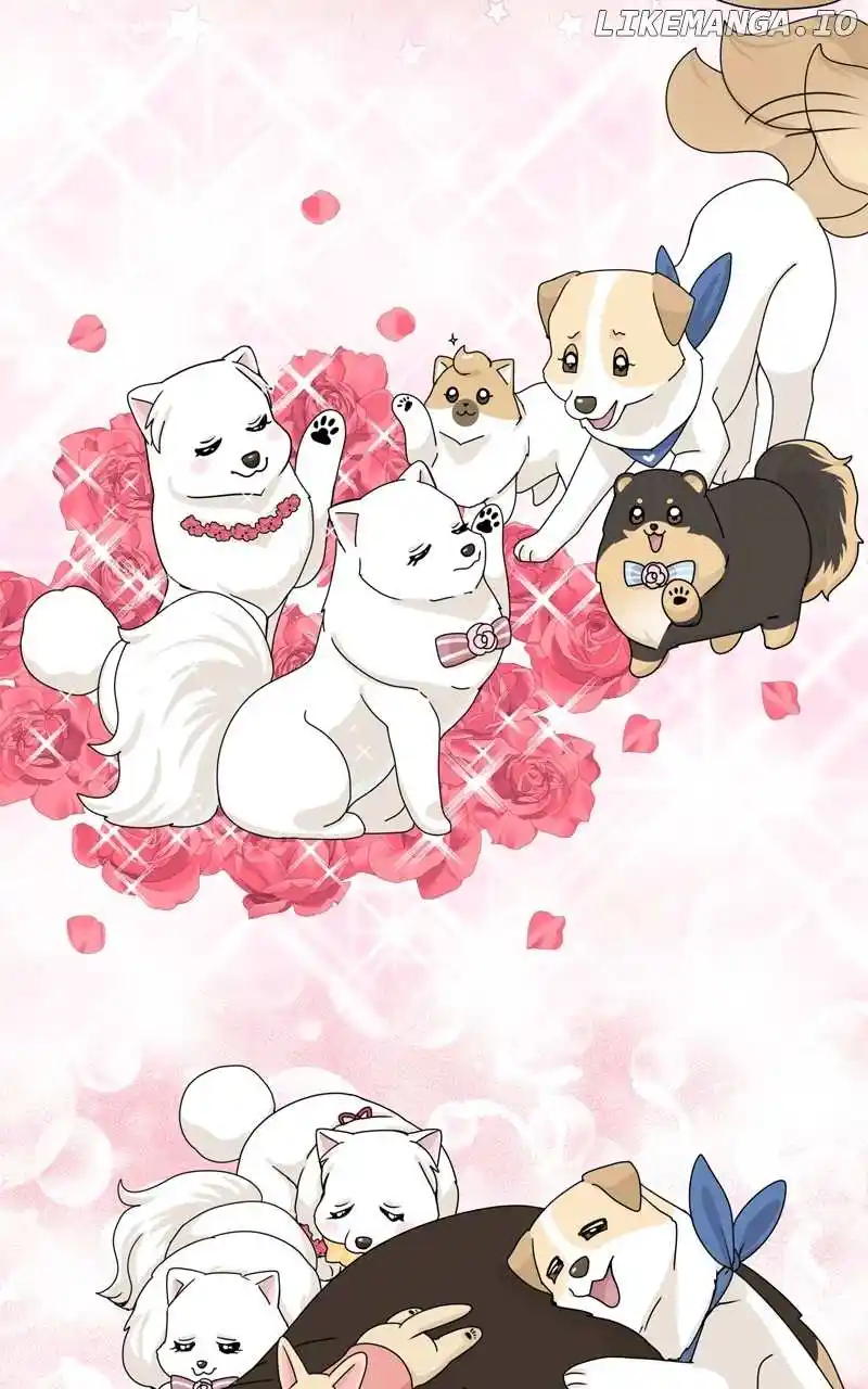 The Dog Diaries Chapter 152