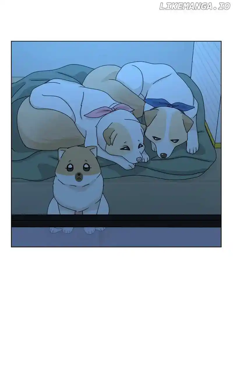 The Dog Diaries Chapter 153