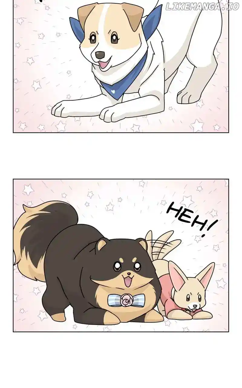 The Dog Diaries Chapter 153