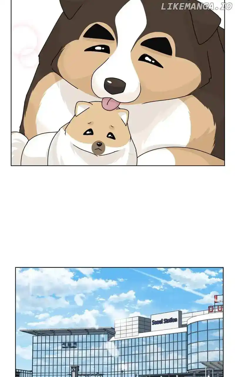 The Dog Diaries Chapter 153