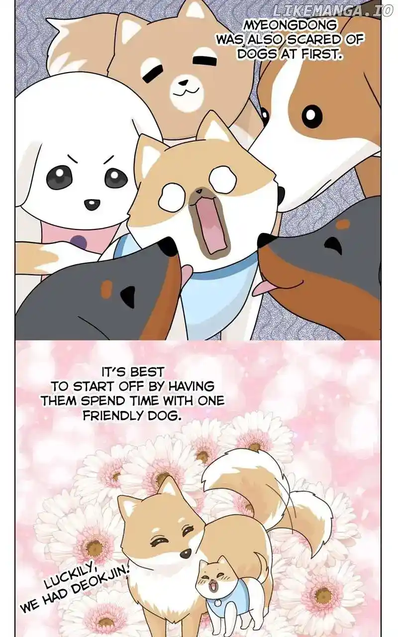 The Dog Diaries Chapter 154