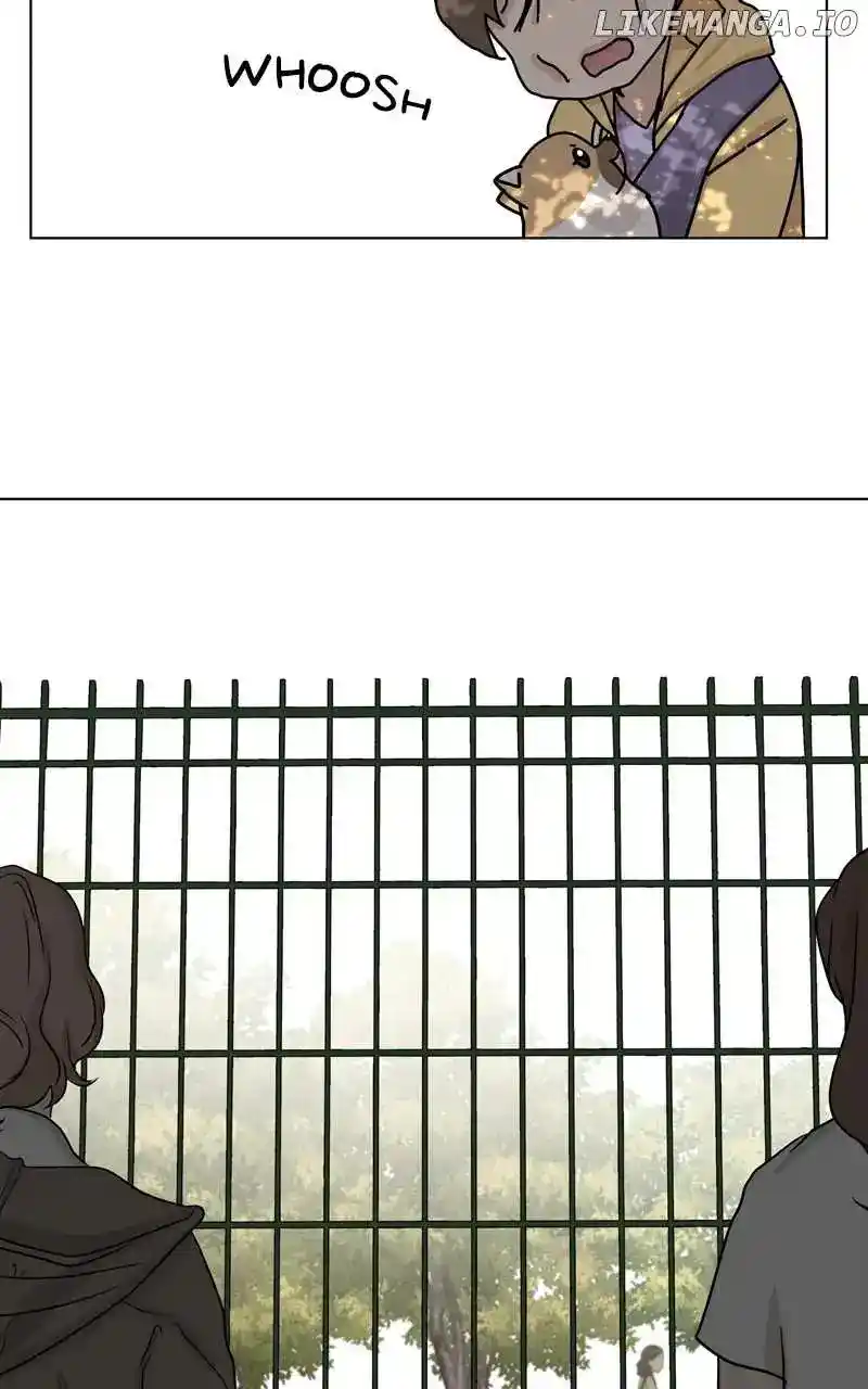 The Dog Diaries Chapter 155