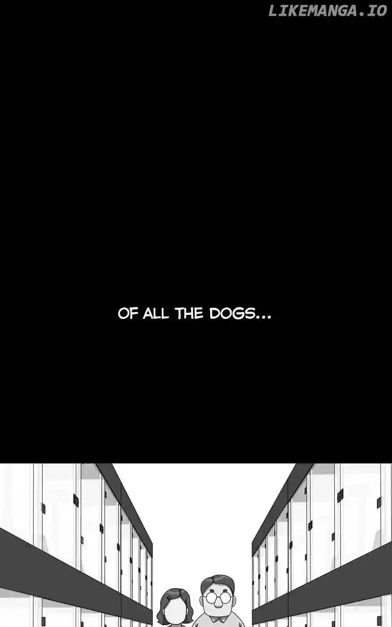 The Dog Diaries Chapter 158