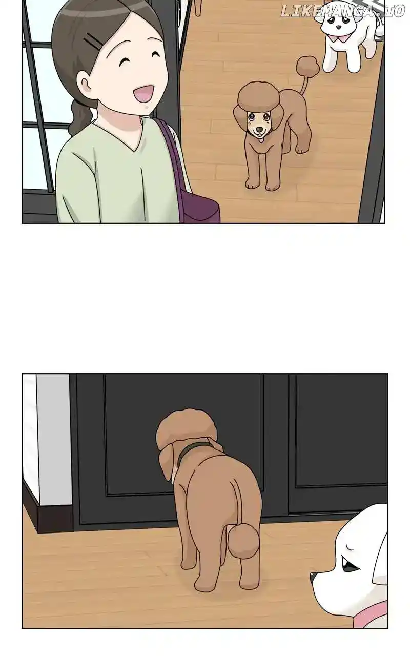 The Dog Diaries Chapter 158