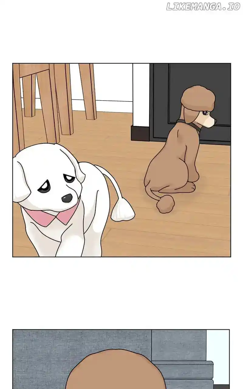 The Dog Diaries Chapter 158