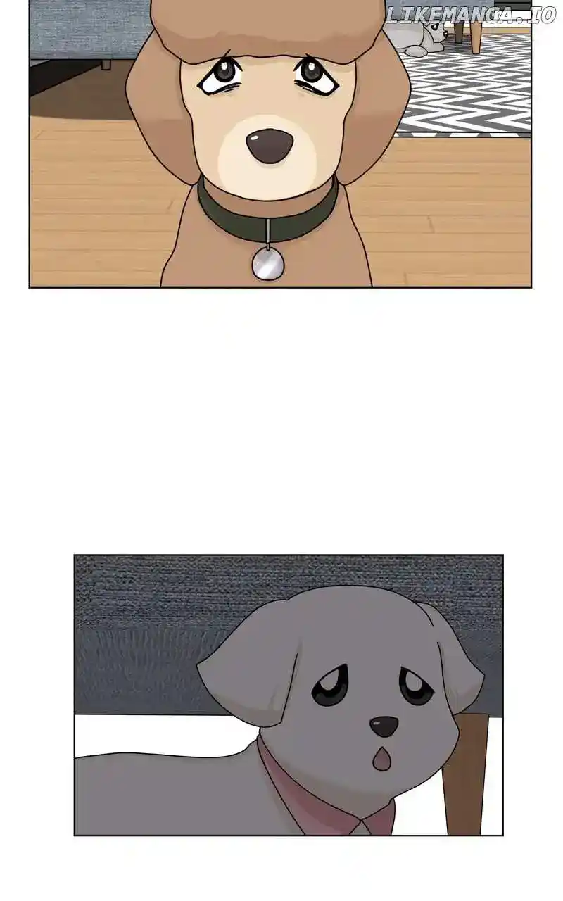 The Dog Diaries Chapter 158