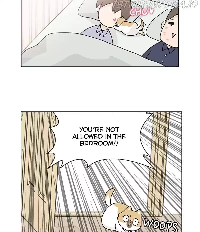 The Dog Diaries Chapter 16