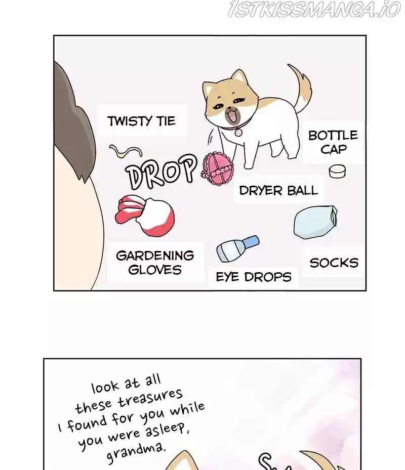 The Dog Diaries Chapter 16