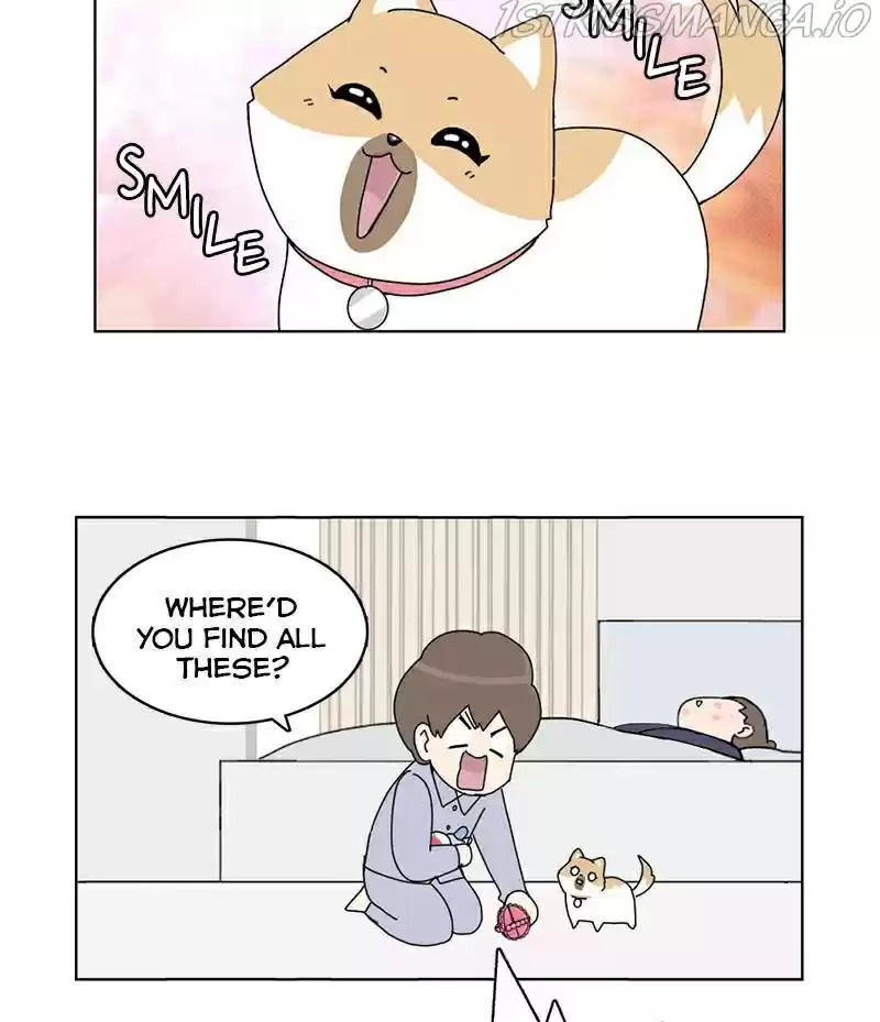 The Dog Diaries Chapter 16