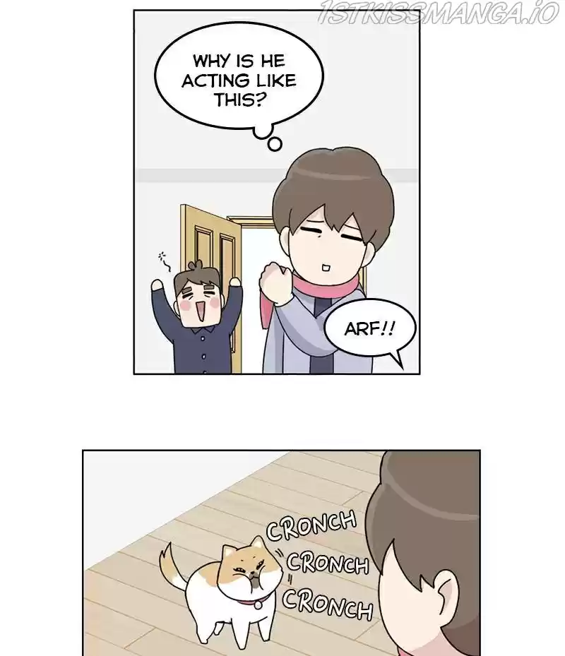 The Dog Diaries Chapter 16