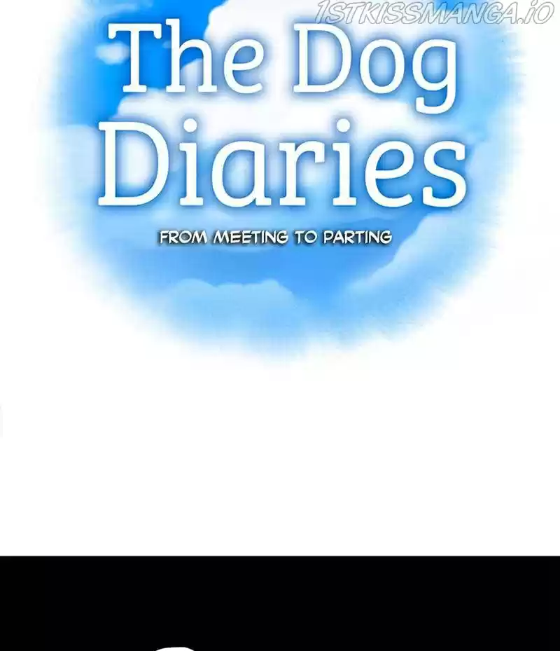The Dog Diaries Chapter 16
