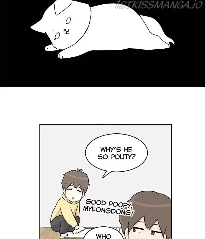 The Dog Diaries Chapter 16