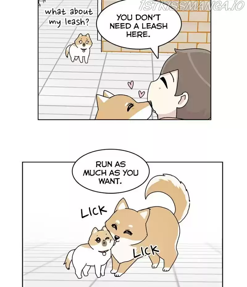 The Dog Diaries Chapter 16