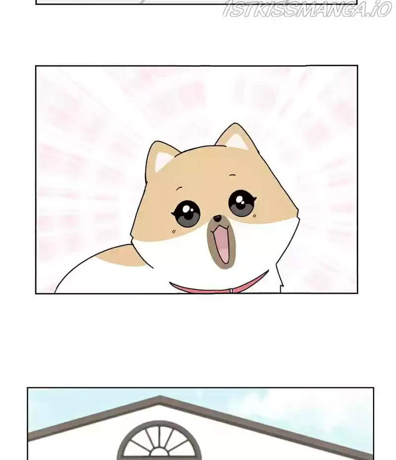 The Dog Diaries Chapter 16