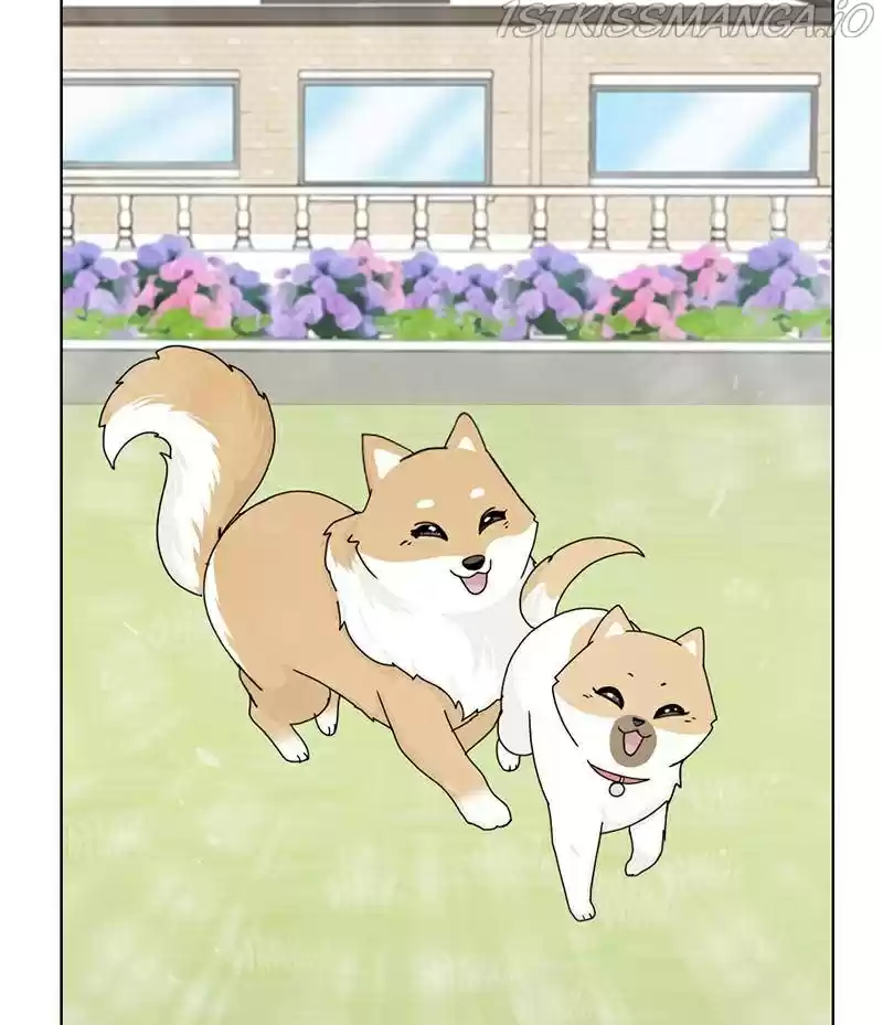 The Dog Diaries Chapter 16