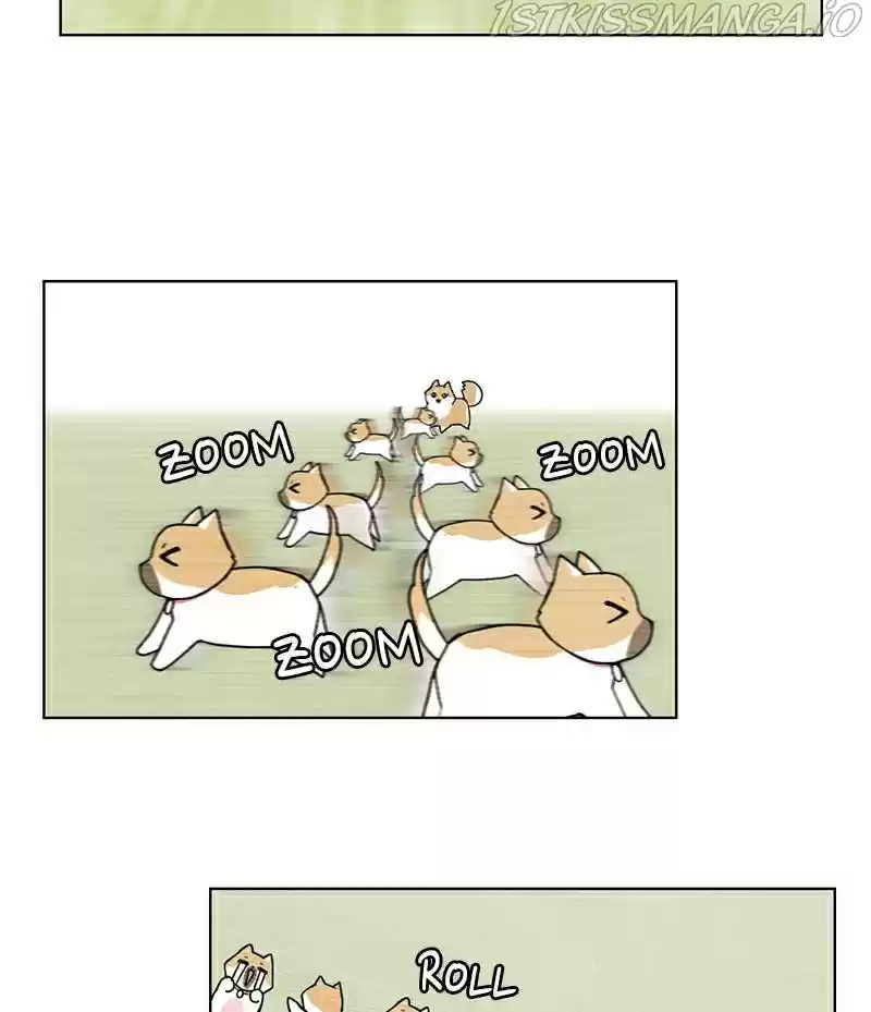 The Dog Diaries Chapter 16