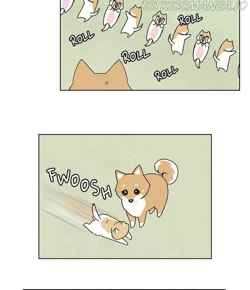 The Dog Diaries Chapter 16