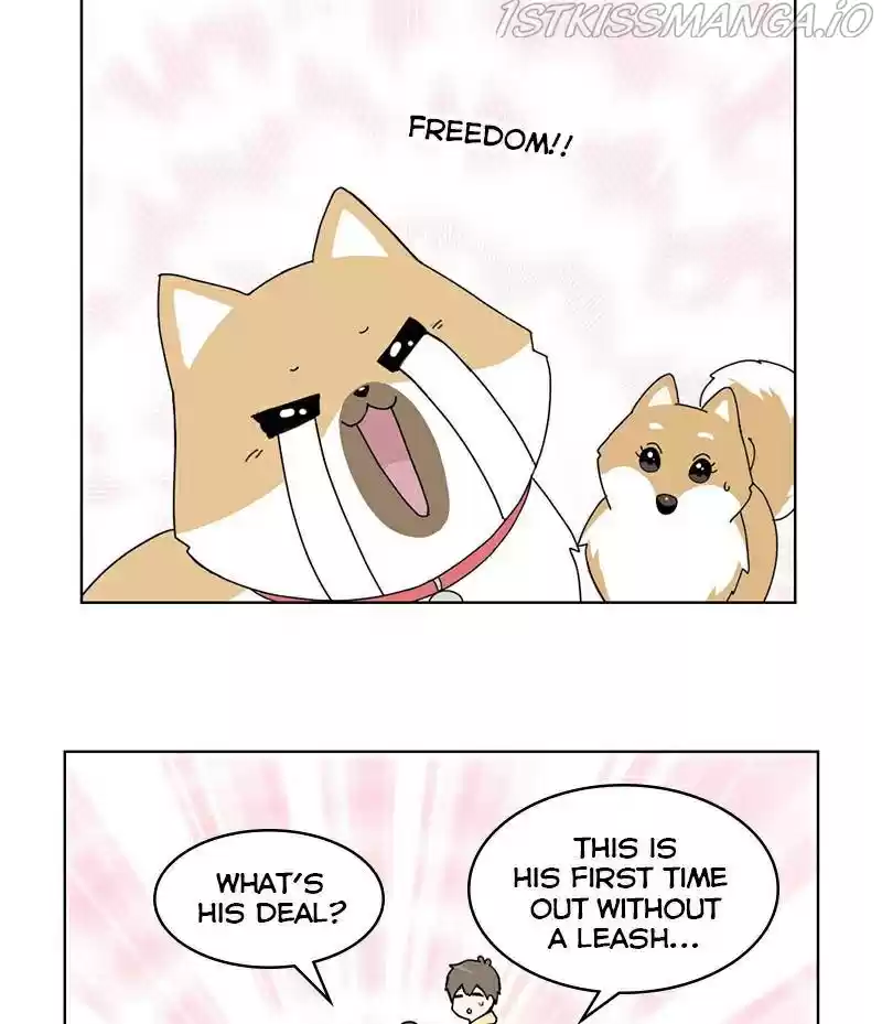 The Dog Diaries Chapter 16