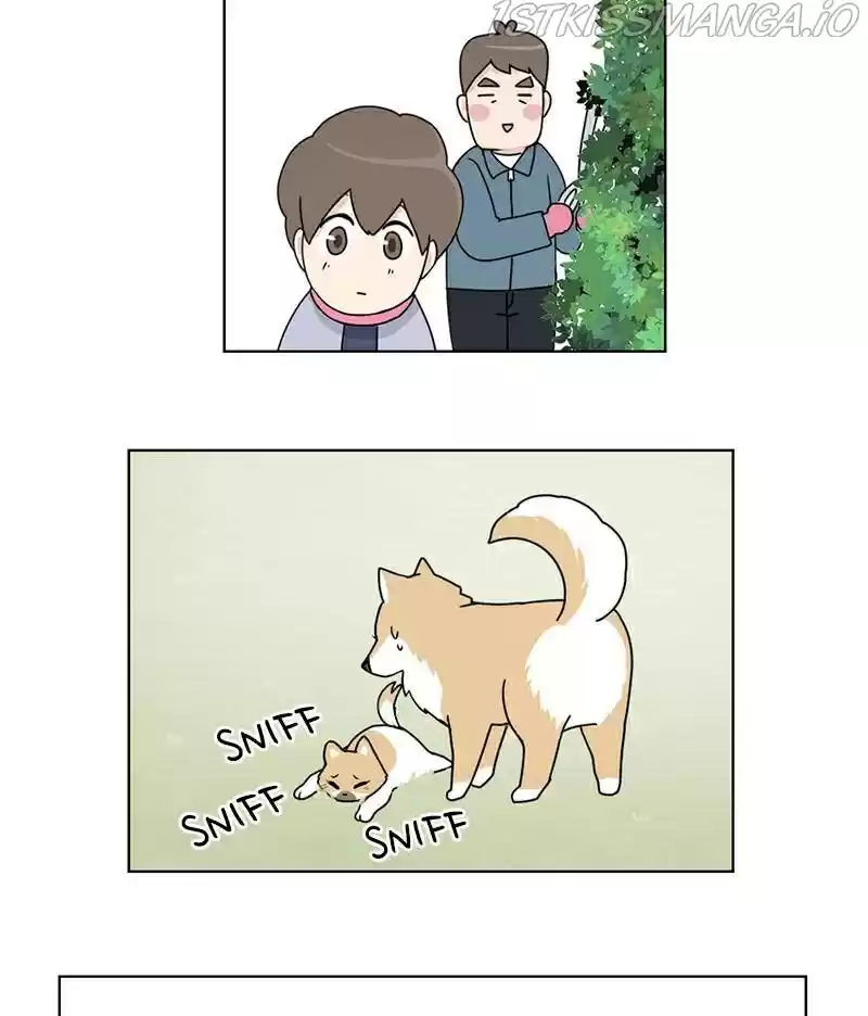 The Dog Diaries Chapter 16