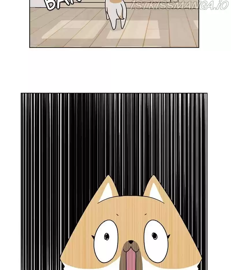 The Dog Diaries Chapter 16