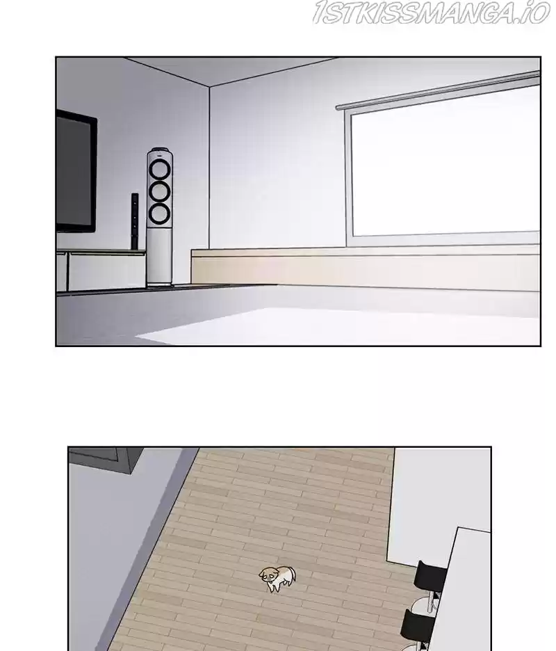 The Dog Diaries Chapter 16