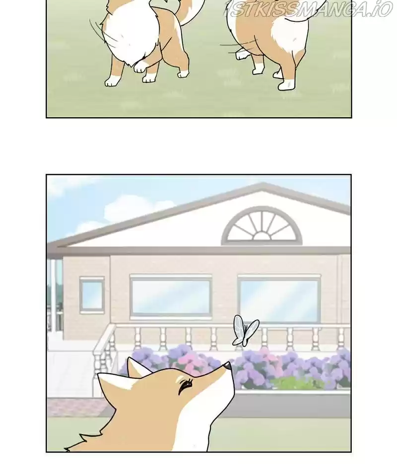 The Dog Diaries Chapter 16