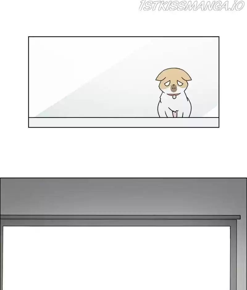 The Dog Diaries Chapter 16