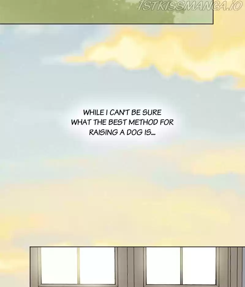 The Dog Diaries Chapter 16