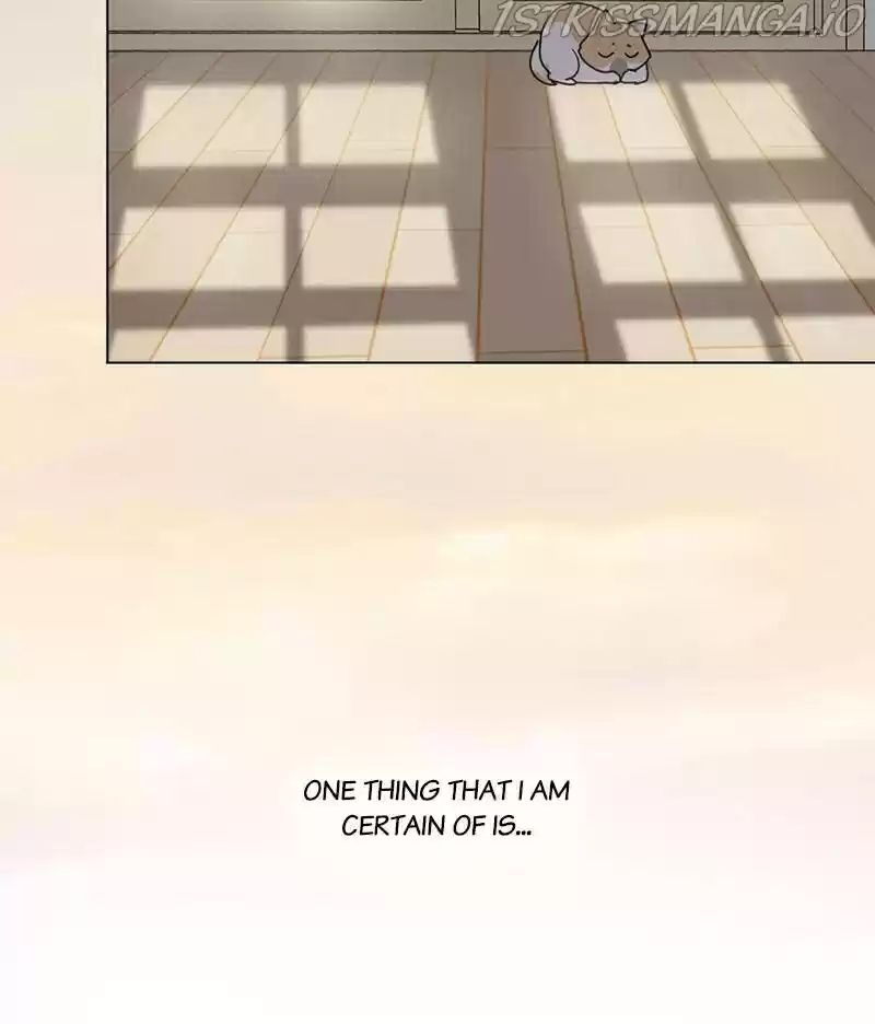 The Dog Diaries Chapter 16