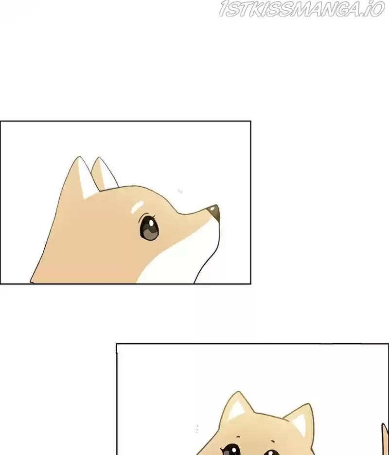 The Dog Diaries Chapter 16