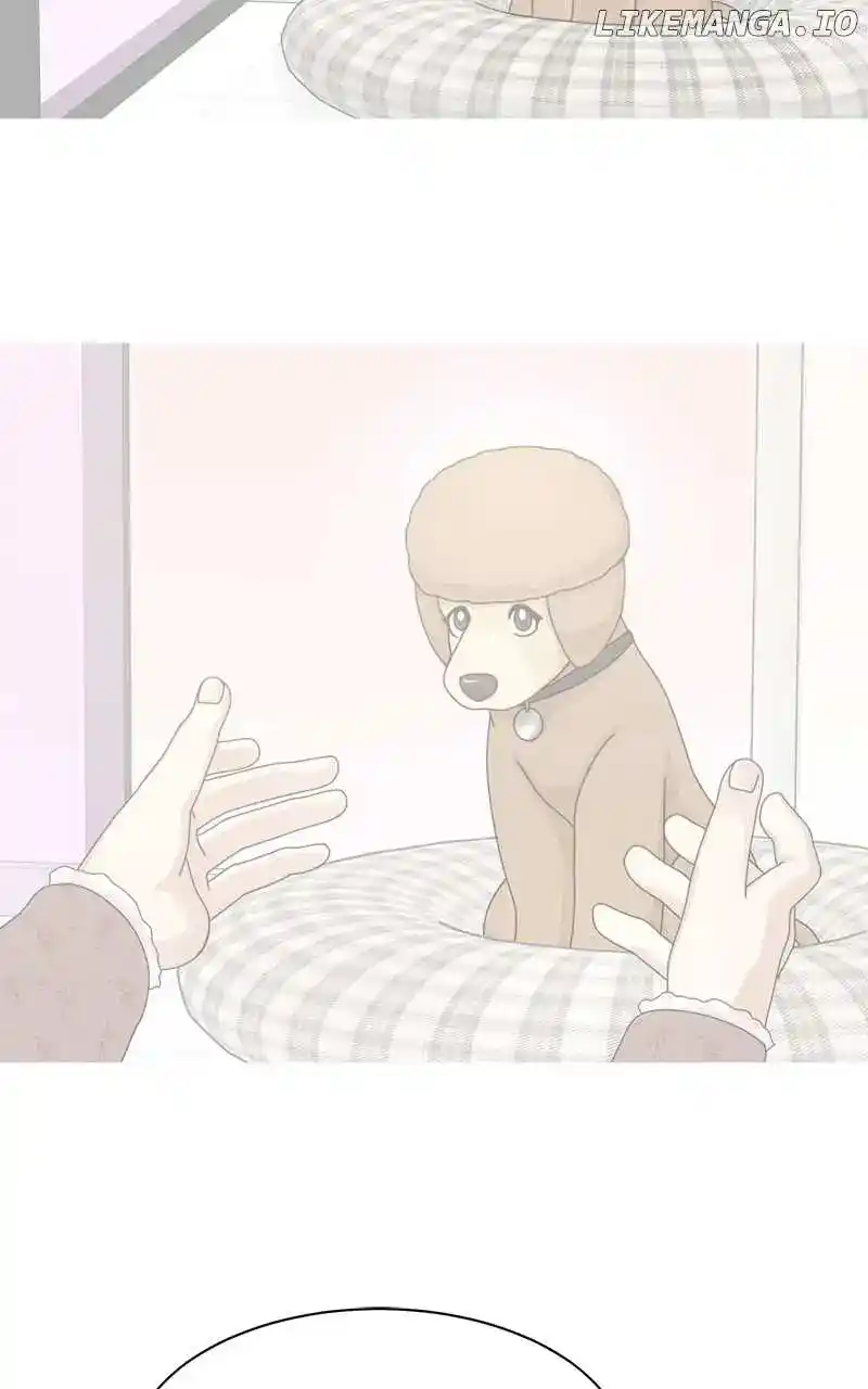 The Dog Diaries Chapter 161