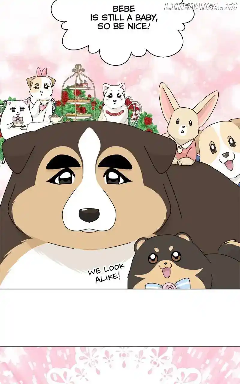 The Dog Diaries Chapter 162