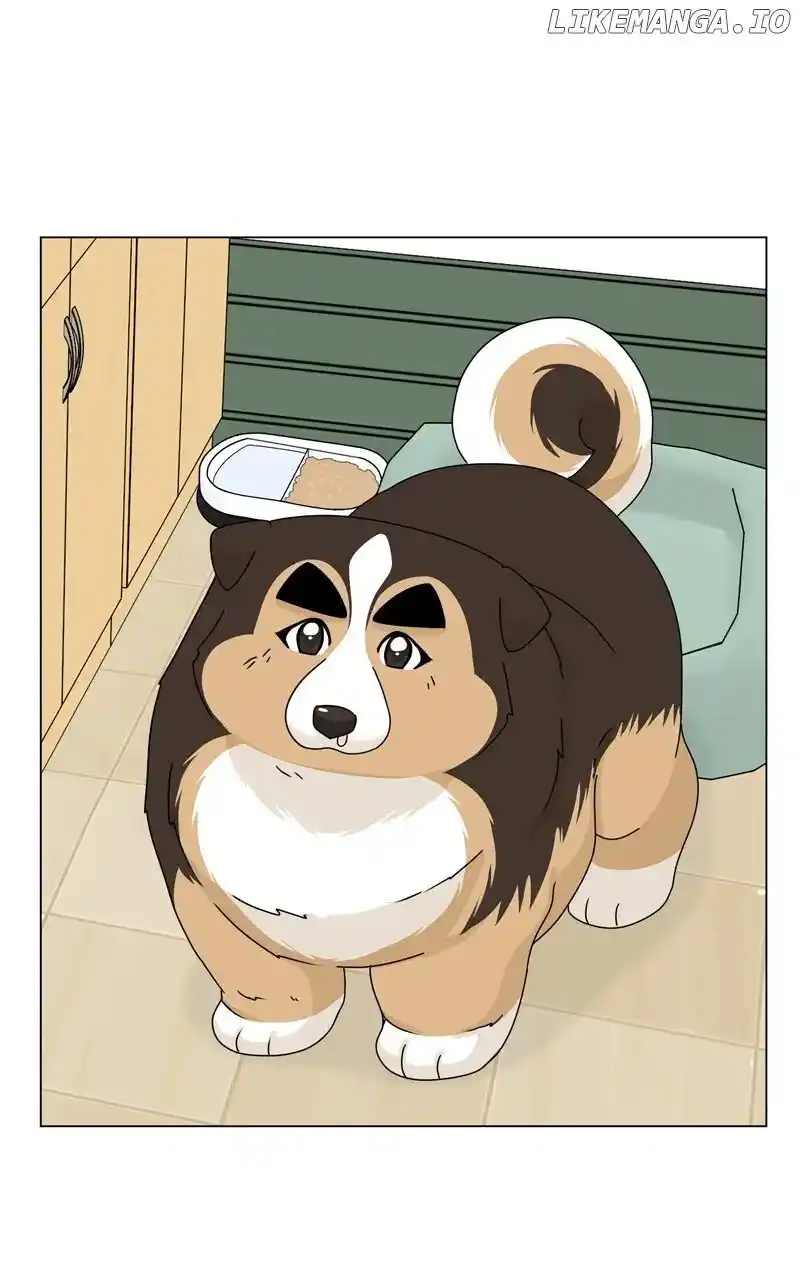 The Dog Diaries Chapter 164