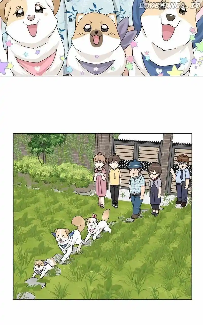 The Dog Diaries Chapter 165