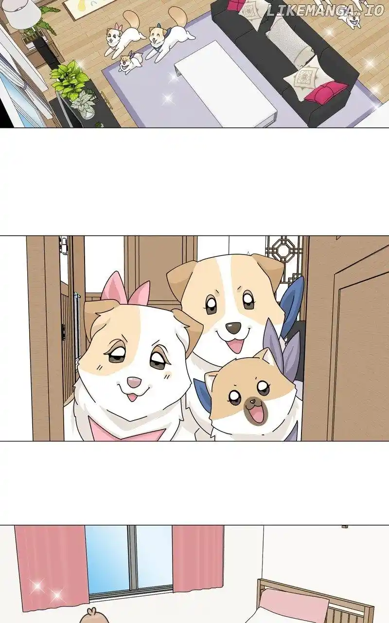 The Dog Diaries Chapter 165