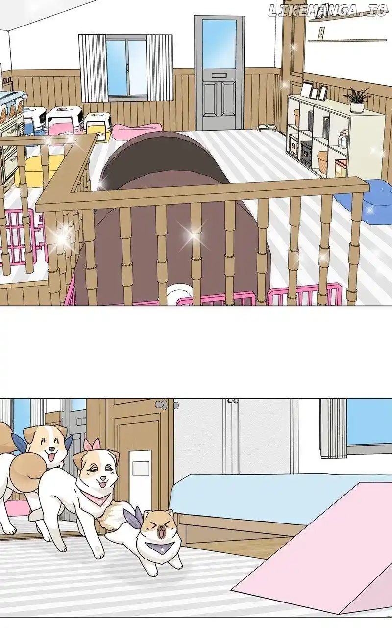 The Dog Diaries Chapter 165