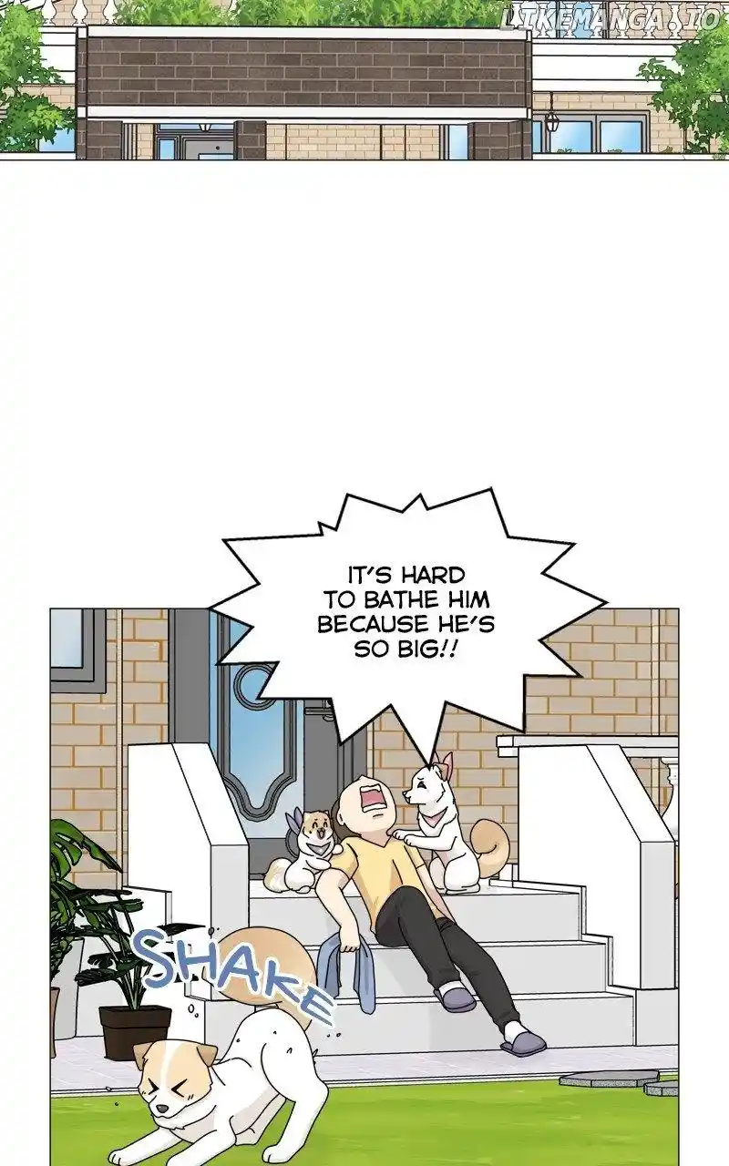 The Dog Diaries Chapter 166