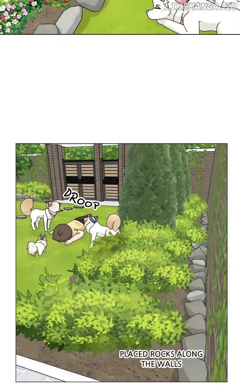 The Dog Diaries Chapter 166