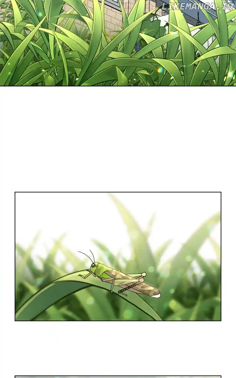 The Dog Diaries Chapter 168