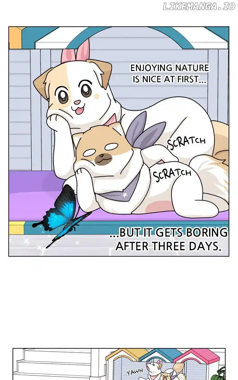 The Dog Diaries Chapter 168