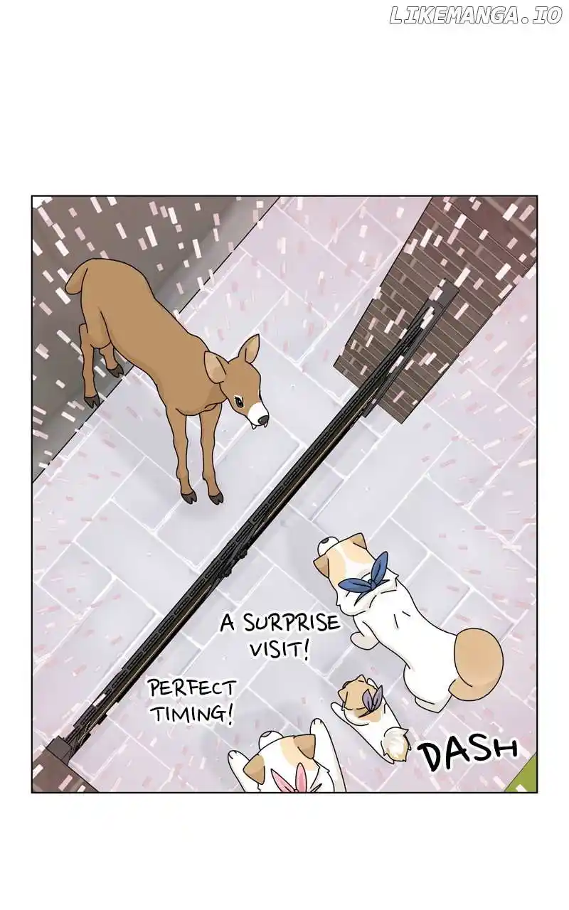 The Dog Diaries Chapter 168