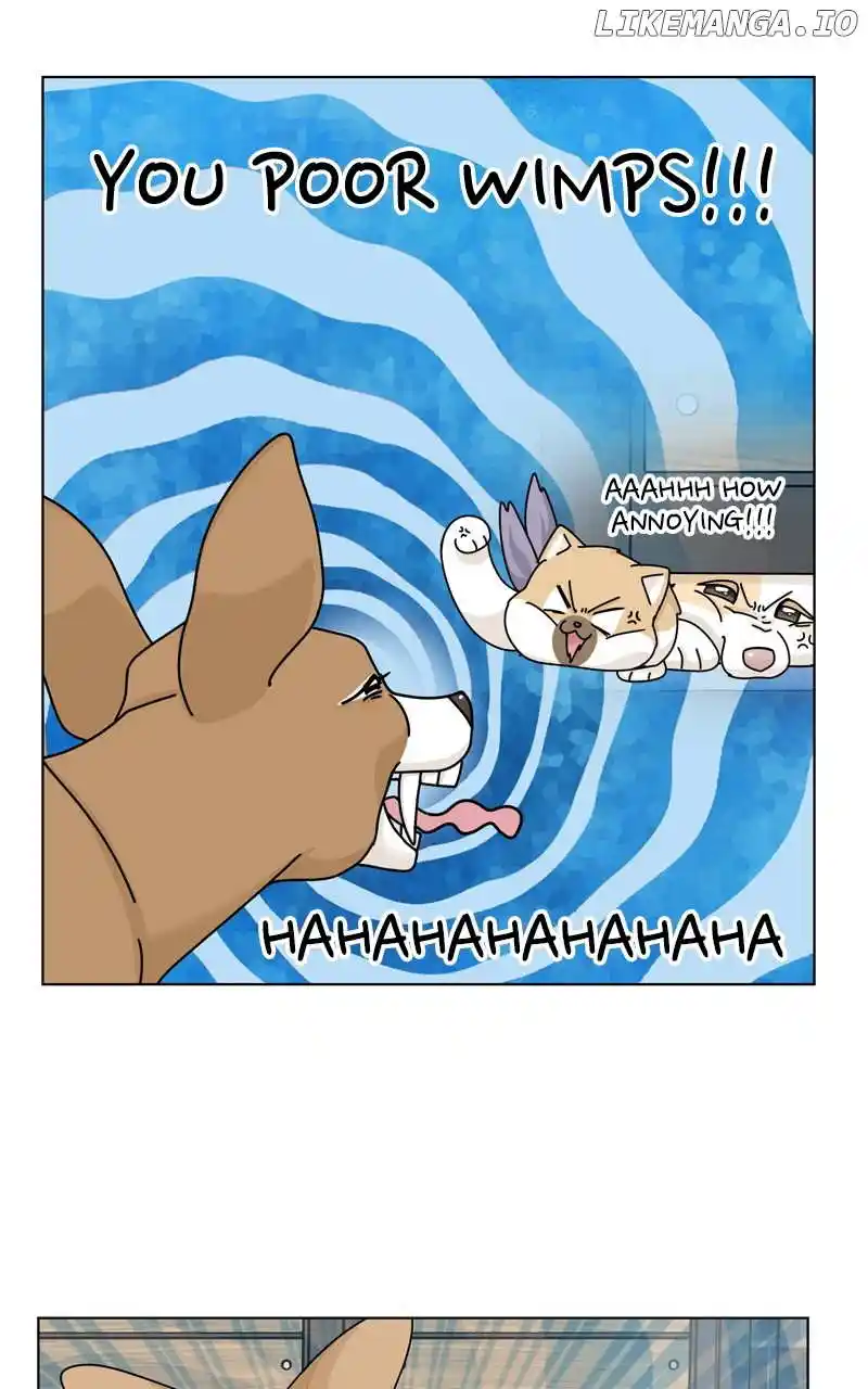 The Dog Diaries Chapter 168