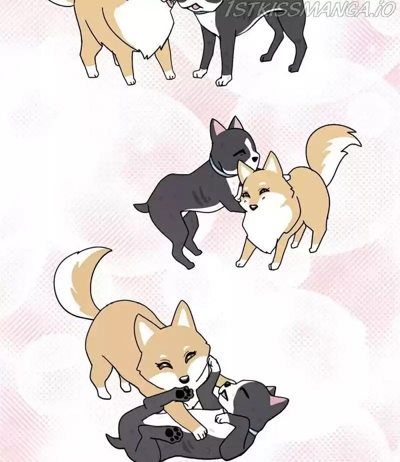 The Dog Diaries Chapter 17