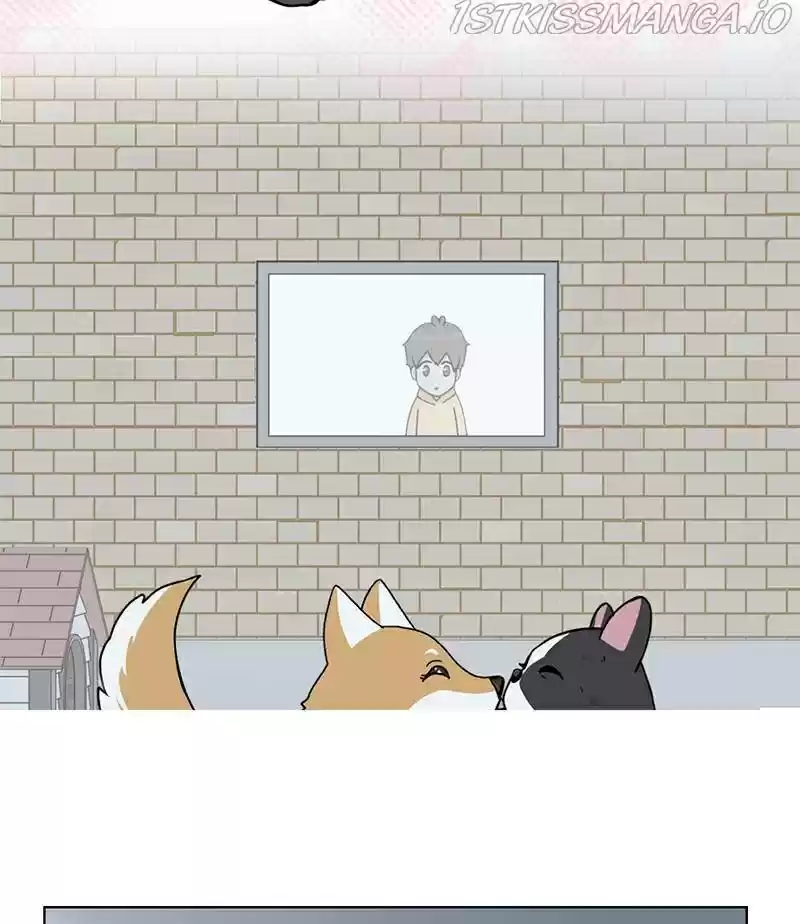 The Dog Diaries Chapter 17