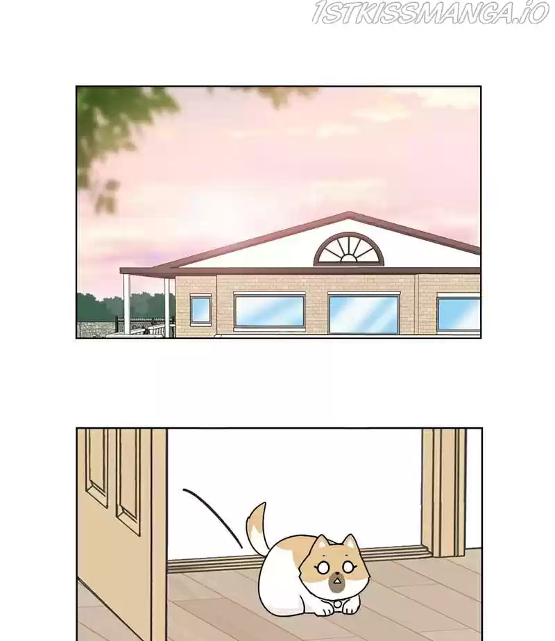 The Dog Diaries Chapter 17